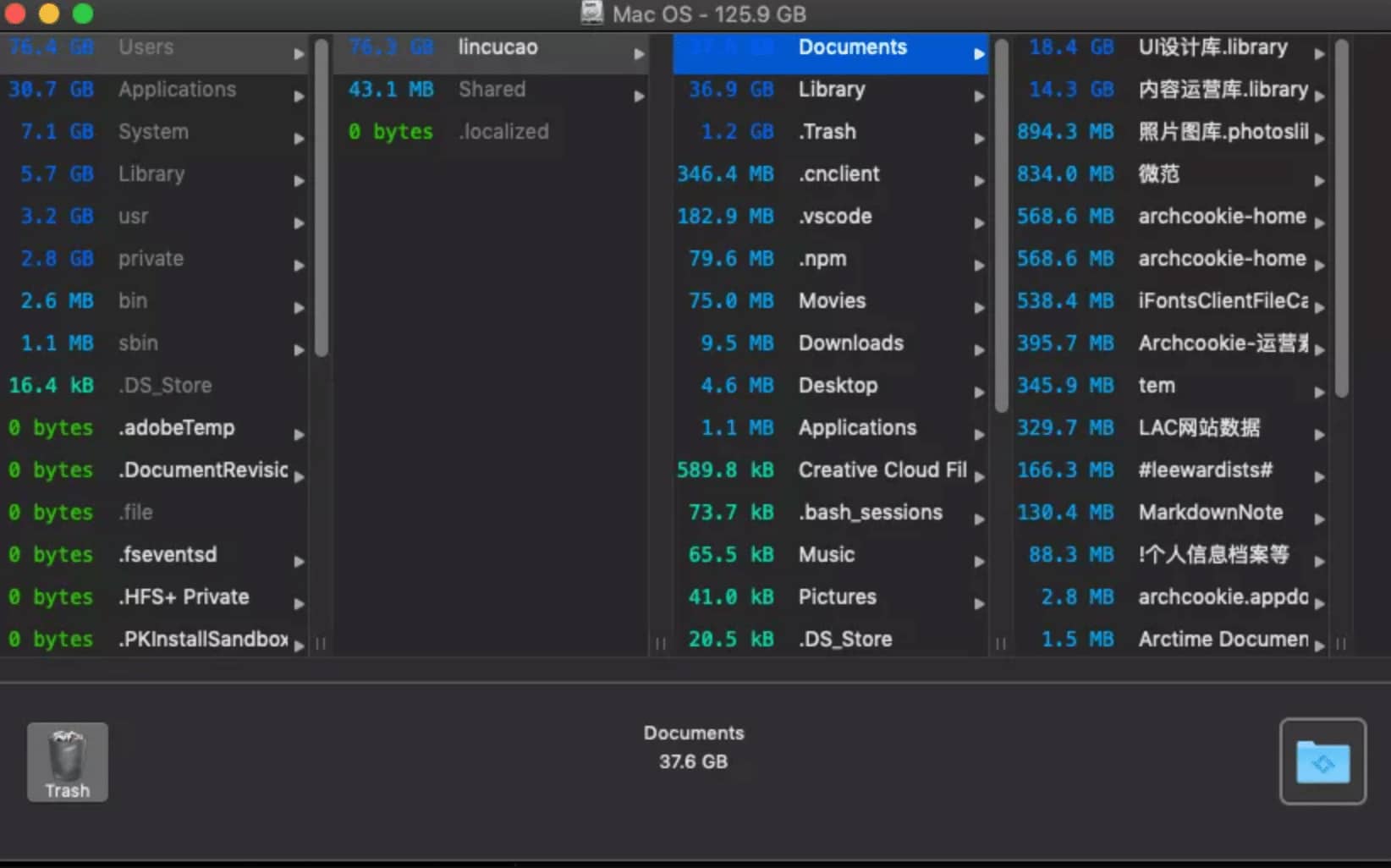 Mac电脑空间磁盘已满怎么办，怎么清理磁盘空间-电脑清理工具-OmniDiskSweeper-建筑曲奇