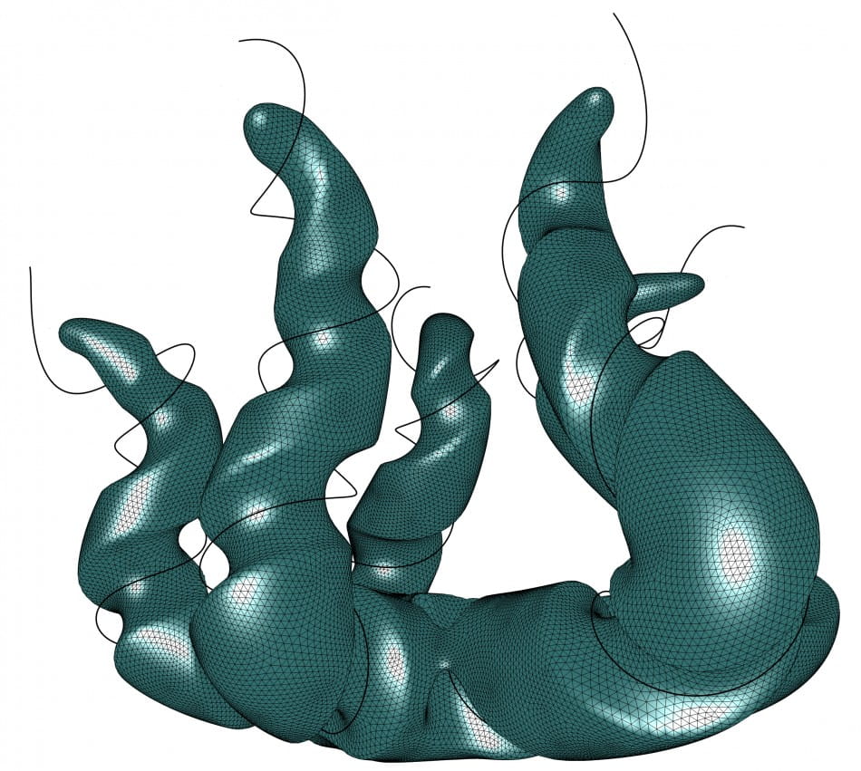 Cocoon-grasshopper插件