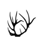 ELK (by tlogan)
