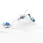 Mosquito