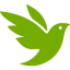 全球自然观察社区 iNaturalist 物种记录与公民科学项目
