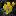 美国野花图鉴 US Wildflowers：本土野生植物摄影识别与州域索引