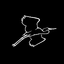 奥杜邦学会 Audubon：鸟类栖息地保护与北美鸟类识别指南