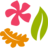 World Flora Online - 全球植物志在线数据库（世界植物名称与分布查询）