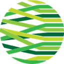 Global Designing Cities Initiative - 街道设计指南与城市实践
