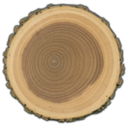 The Wood Database 木材数据库 - 树种识别与材性查询