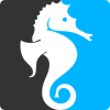SeaHorse Foils