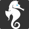 SeaHorse Hulls