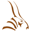 Bongo