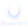 Bowerbird
