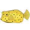 BoxFish