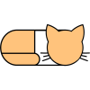 Catsule