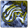 Chromodoris