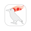 Clark's Crow