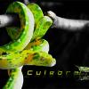 Culebra