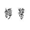 蜉蝣Dayfly