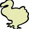 Dodo