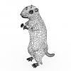 Gopher