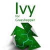 Ivy