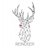 Reindeer