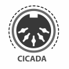 Cicada