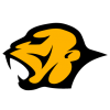 Mandrill - DataViz