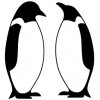Spheniscidae