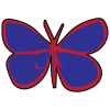 Palmfly3