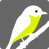 Songbird