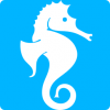 SeaHorse Hydrostatics